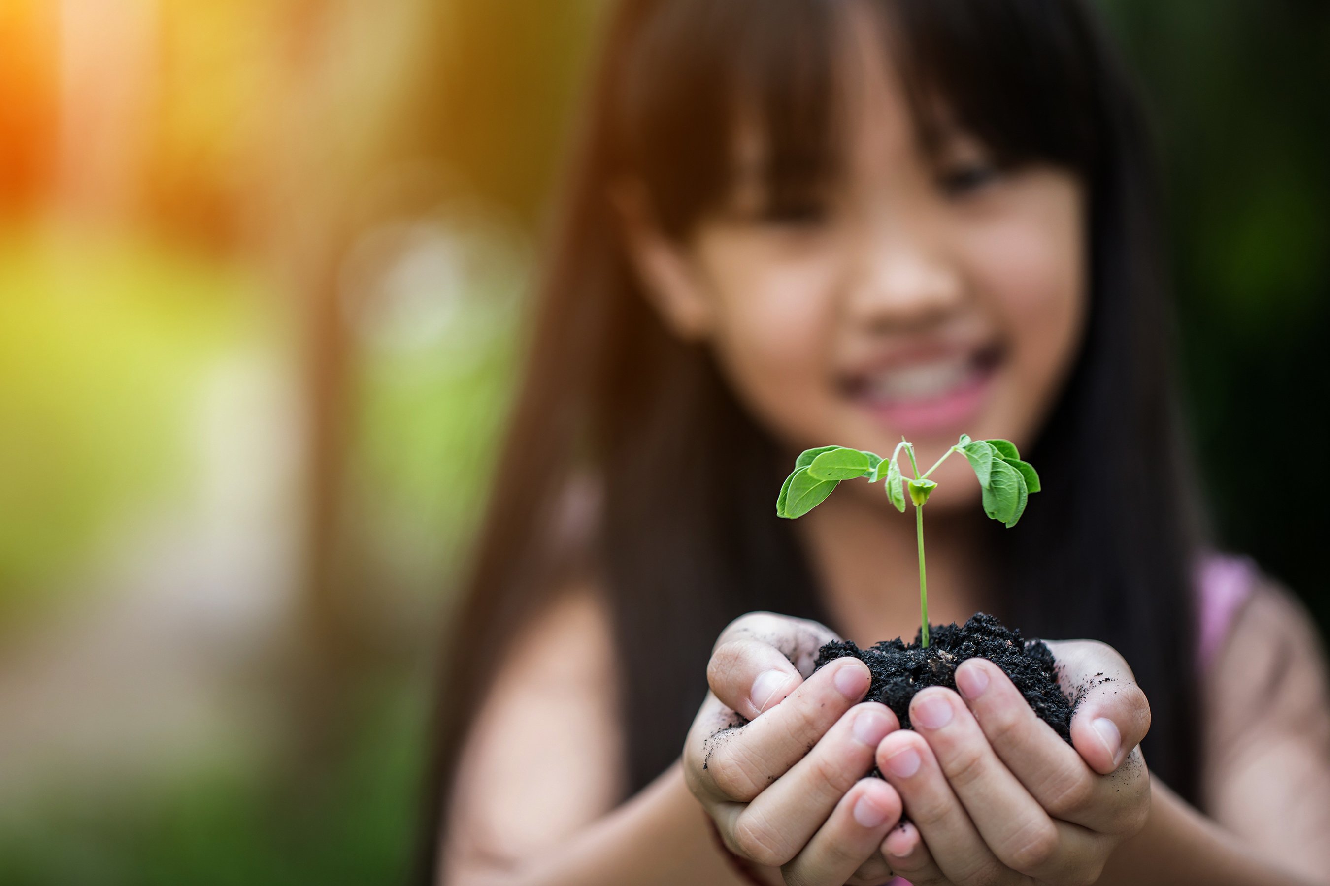 Asian Child Holding a Little Green Plant 